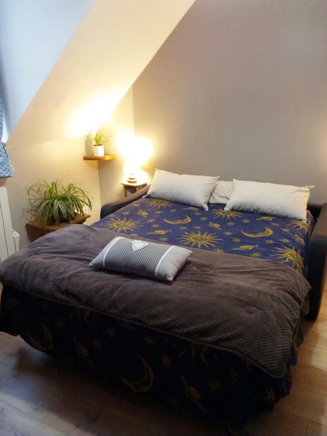 La Musette Apartment Dijon Bagian luar foto