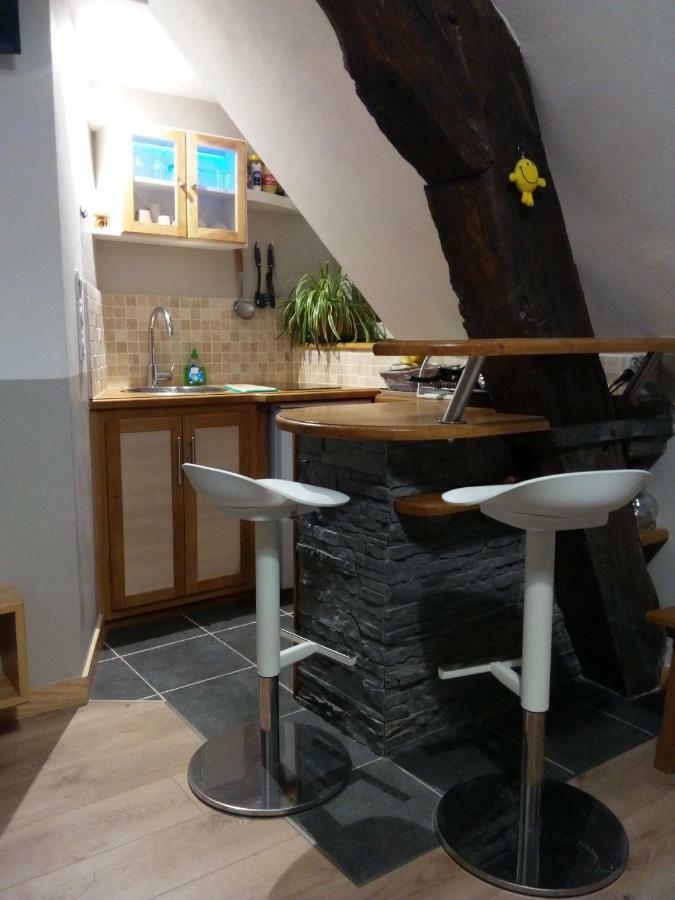 La Musette Apartment Dijon Bagian luar foto