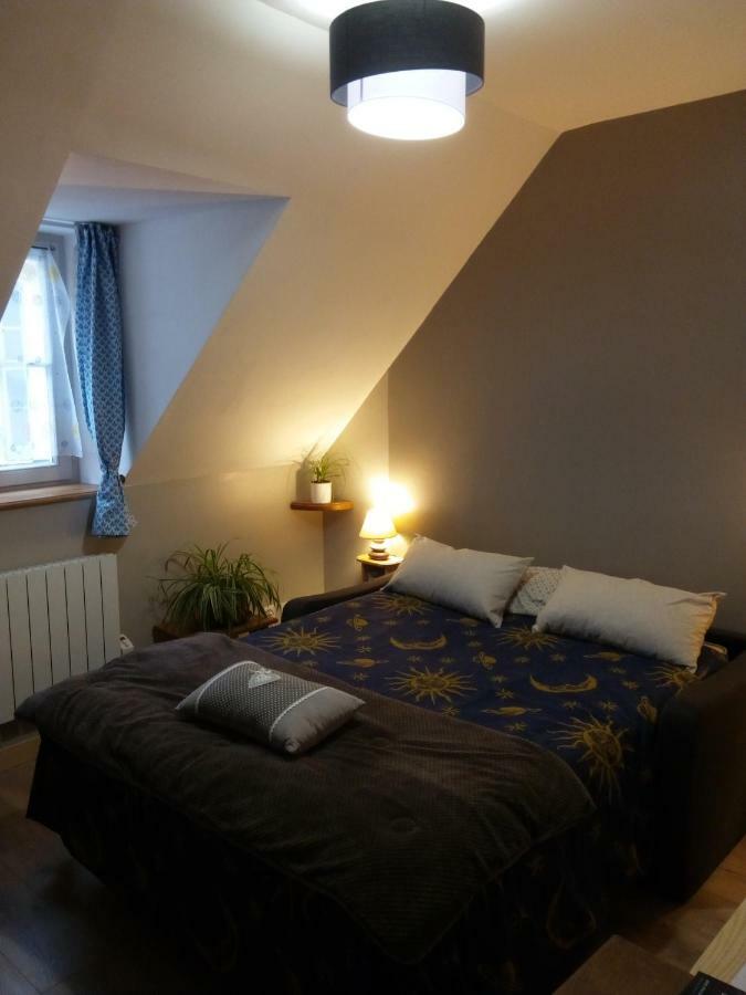 La Musette Apartment Dijon Bagian luar foto