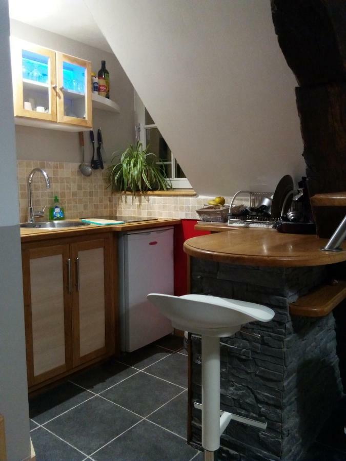 La Musette Apartment Dijon Bagian luar foto