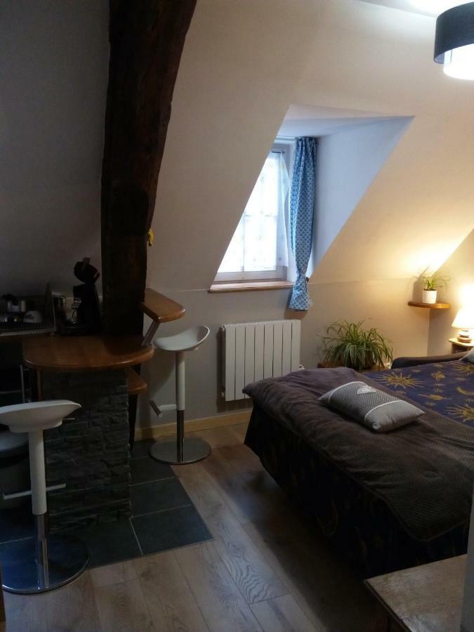 La Musette Apartment Dijon Bagian luar foto