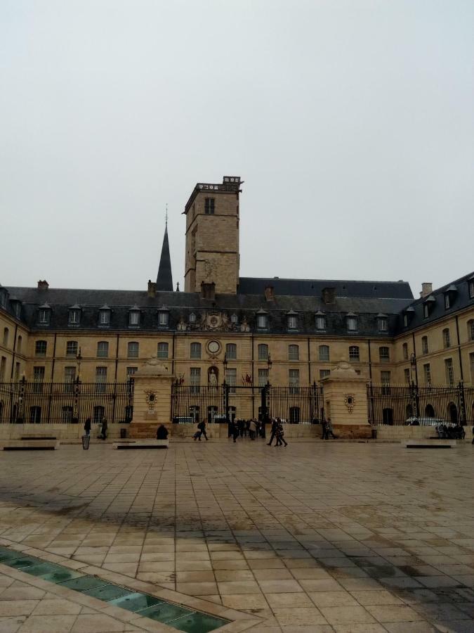 La Musette Apartment Dijon Bagian luar foto